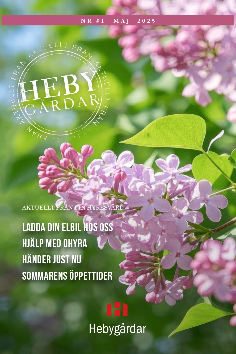 Förstasidan av vårt nyhetsbrev nr 1 2025